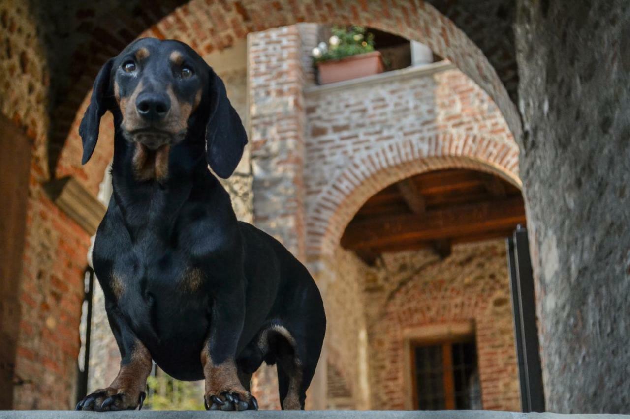 Castello Di Bed & Breakfast